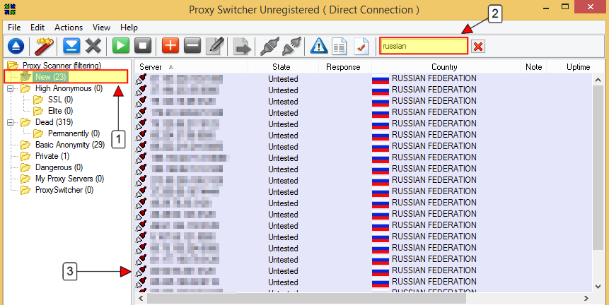 Proxy Switcher test selected server
