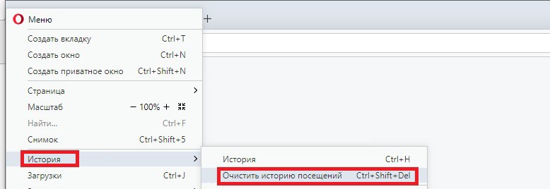Opera clear browsing history