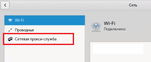 Kali Linux network proxy service