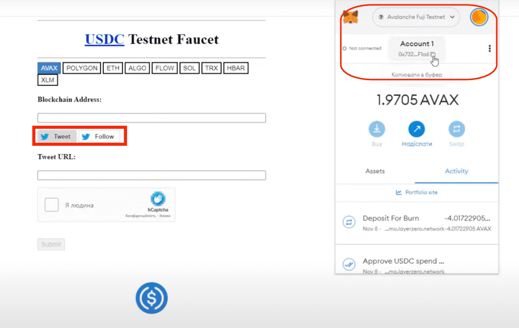 LayerZero get 1000 test dollars