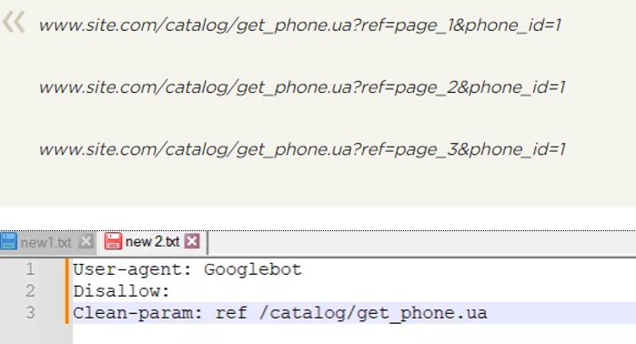 Robots.txt set the Clean-param rule