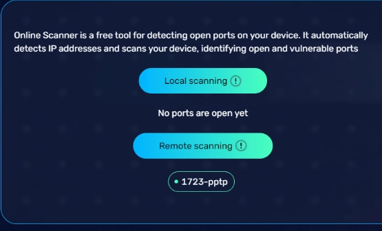 BrowserScan port scanning
