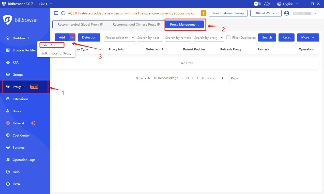 Checking proxy settings in BitBrowser